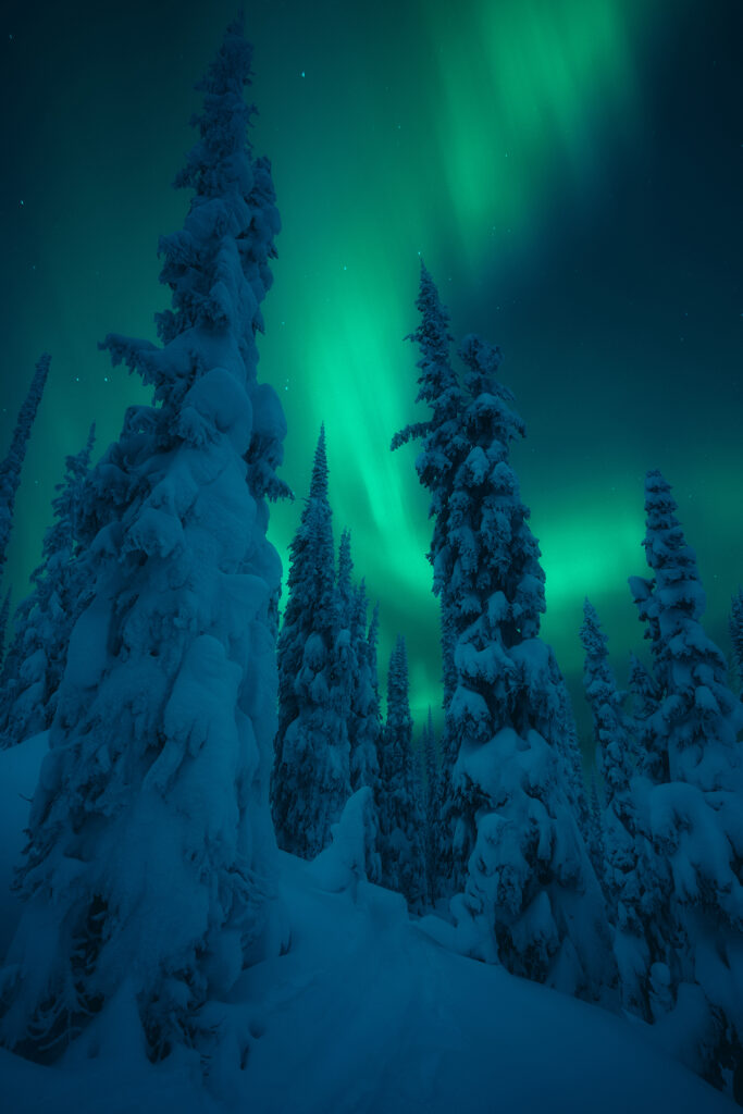 Winter Northern Lights